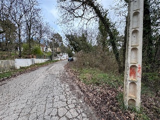 Àngels 5