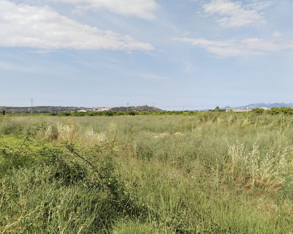 Vall Farta La