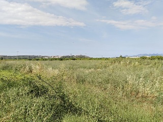 Otros en venta en Alcàntera De Xúquer