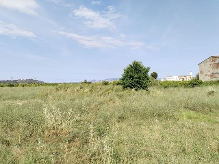 Vall Farta La 2