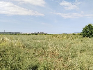 Vall Farta La 3