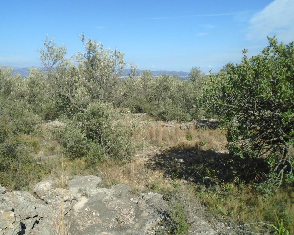 Vall D'En Pasto