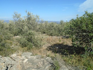 Pisos banco Roquetes