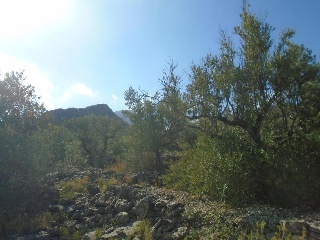Vall D'En Pasto 2