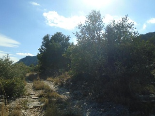 Vall D'En Pasto 3