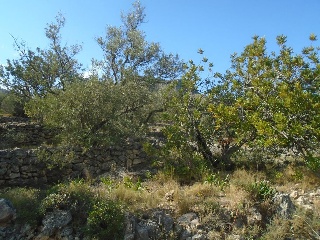 Vall D'En Pasto 4
