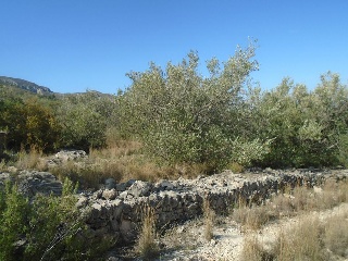 Vall D'En Pasto 5