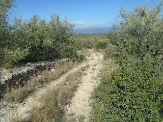 Vall D'En Pasto 6