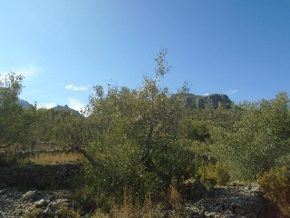 Vall D'En Pasto 7