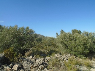 Vall D'En Pasto 8