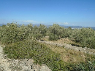 Vall D'En Pasto 9