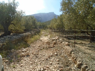 Vall D'En Pasto 10