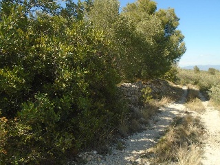 Vall D'En Pasto 11