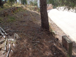 Ponent (Del) 6