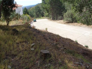 Ponent (Del) 7