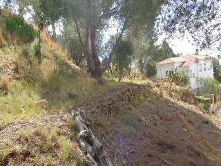 Ponent (Del) 11