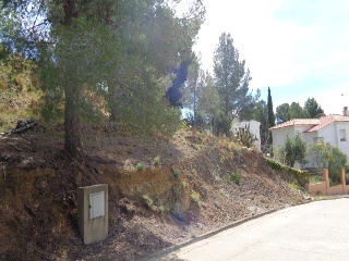 Ponent (Del) 12