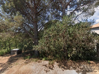 Junior Park 2