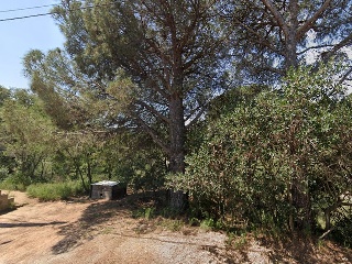 Junior Park 4