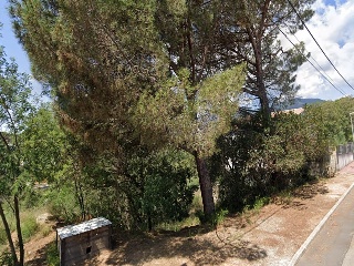 Junior Park 5