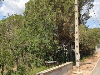 Junior Park 6