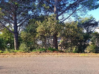 Junior Park 7
