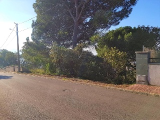 Junior Park 8