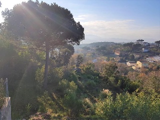 Junior Park 9