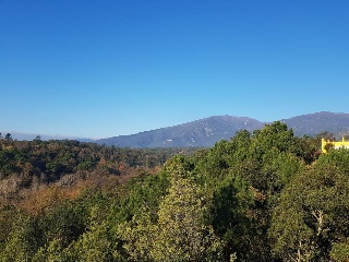 Junior Park 10