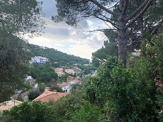 Font Dels Capellans 7