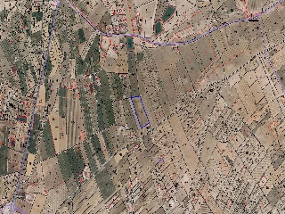 La Jimena -Casa Tosquilla 2