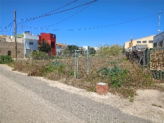 Cami De Recortes 2
