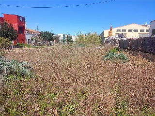 Cami De Recortes 3