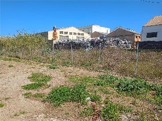 Cami De Recortes 4