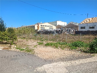 Cami De Recortes 6