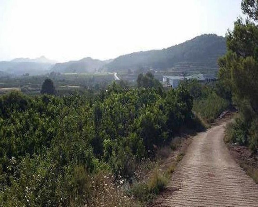 Partida Llano (Del)