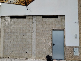 Cabañeros 2
