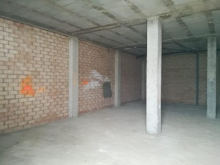 Cabañeros 7