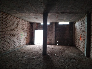 Cabañeros 9