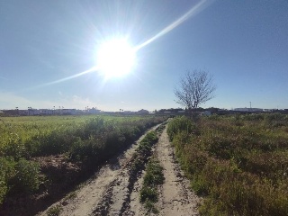Otros en venta en Almonte