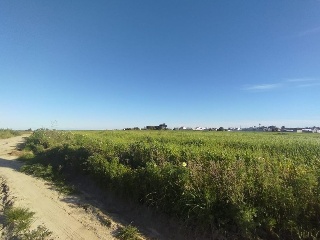 Alonsario 5