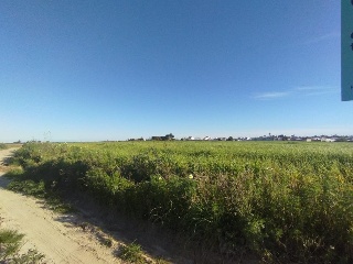 Alonsario 7
