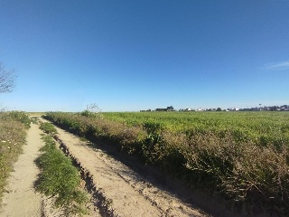 Alonsario 8