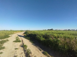 Alonsario 9