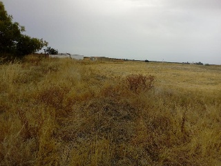 Alonsario 10