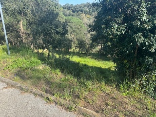 Otros en venta en Tordera