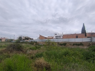 Solanes 4