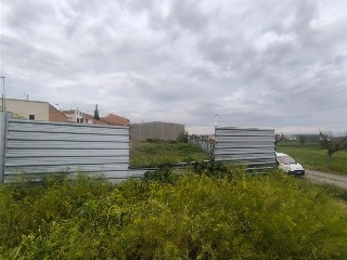Solanes 7