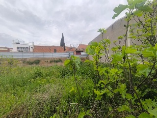 Solanes 9