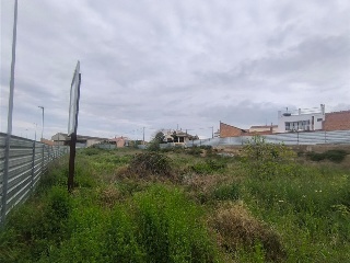 Solanes 11